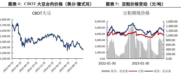 下游需求仍然较弱 供应充裕施压豆粕盘面