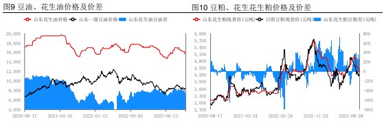 集中上市压力持续释放 花生暂无明显止跌信号