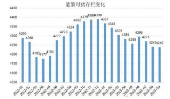 供应压力尚存 生猪期价震荡下行