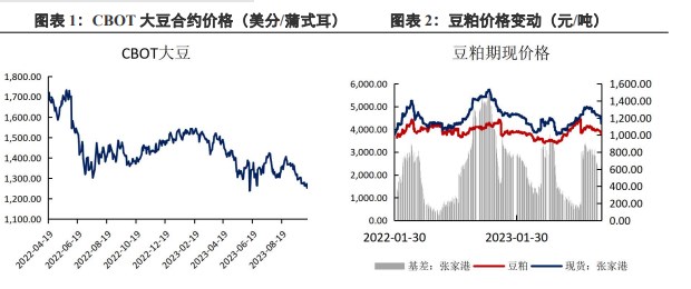 下游采购仍然较为谨慎 豆粕维持偏强震荡运行