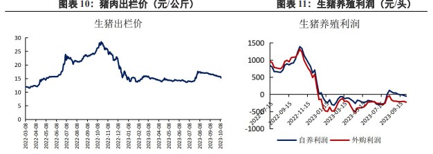 下游采购仍然较为谨慎 豆粕维持偏强震荡运行