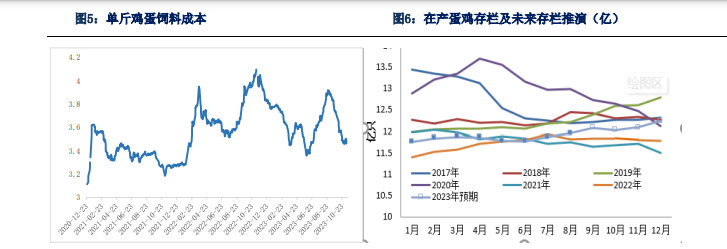 后市利多刺激有限 鸡蛋价格短期向上空间有限