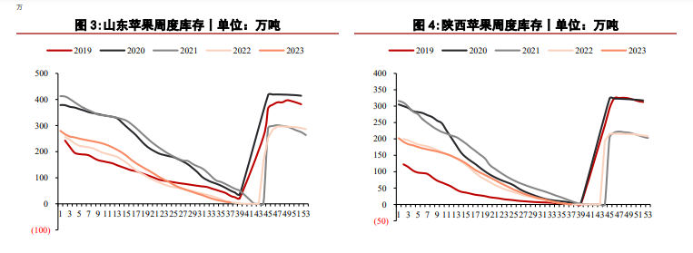 苹果价格偏稳运行 红枣升水格局下续涨驱动不足