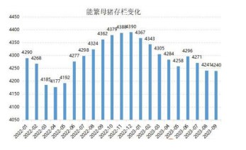 养殖端出栏较积极 生猪市场供应宽松