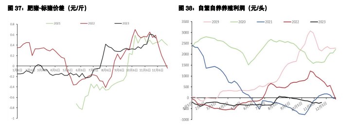 鸡蛋下游逢低补货影响短时发力 生猪市场信心极为悲观