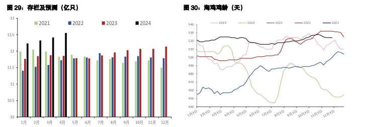 鸡蛋下游逢低补货影响短时发力 生猪市场信心极为悲观