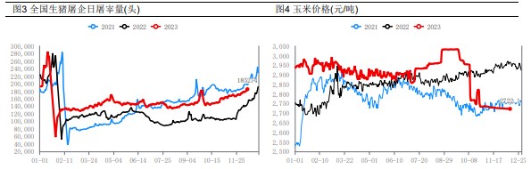 生猪需求端有所好转 价格稳中偏强运行