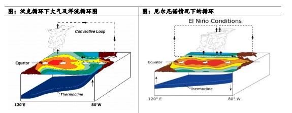 白糖朔风始起 周期切换