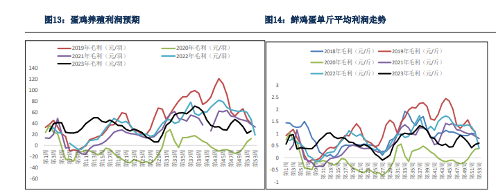 现货利润改善幅度有限 鸡蛋短期进入震荡调整阶段