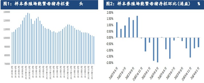 生猪供需仍显宽松 走货仍面临一定压力