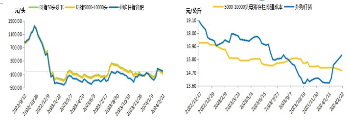 生猪供需仍显宽松 走货仍面临一定压力