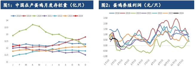 鸡蛋现货超预期上涨 带动期货盘面走强