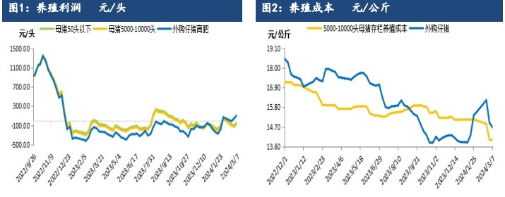 生猪供需形势或逐步改善 价格震荡偏强为主