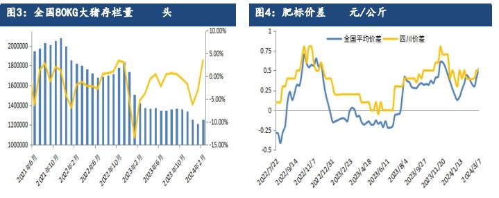 生猪供需形势或逐步改善 价格震荡偏强为主