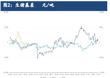 压栏惜售情绪较高叠加需求增加 生猪供需形势改善