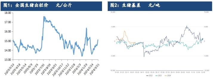 压栏惜售情绪较高叠加需求增加 生猪供需形势改善