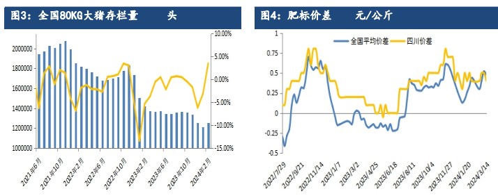 压栏惜售情绪较高叠加需求增加 生猪供需形势改善