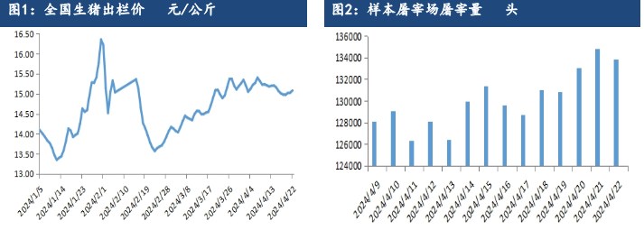 生猪产能持续去化利好支撑 远月合约存较强预期