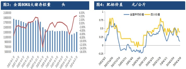 生猪产能持续去化利好支撑 远月合约存较强预期