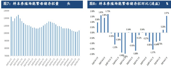 生猪产能持续去化利好支撑 远月合约存较强预期