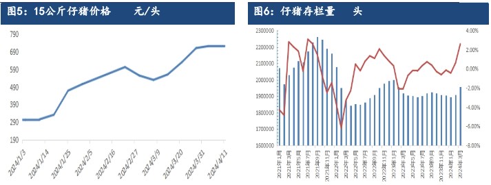 生猪产能持续去化利好支撑 远月合约存较强预期