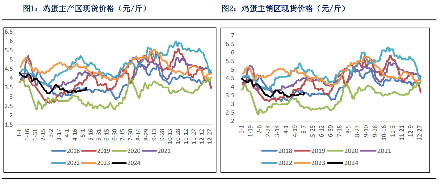 鸡蛋合约仍处于相对低位 预计价格重心将上移