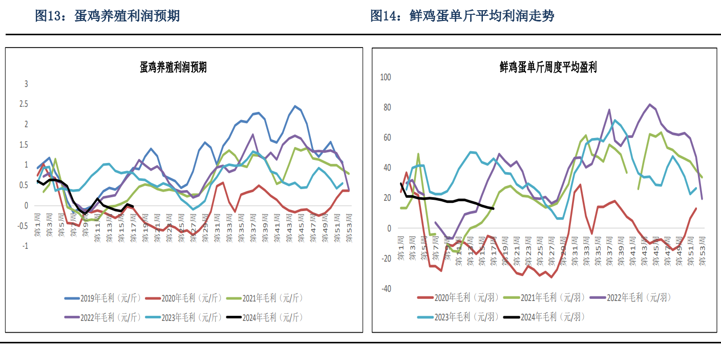 鸡蛋合约仍处于相对低位 预计价格重心将上移