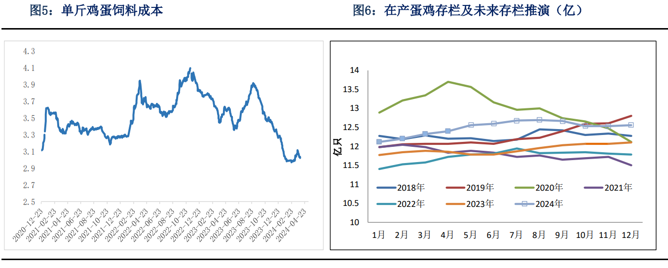 鸡蛋合约仍处于相对低位 预计价格重心将上移