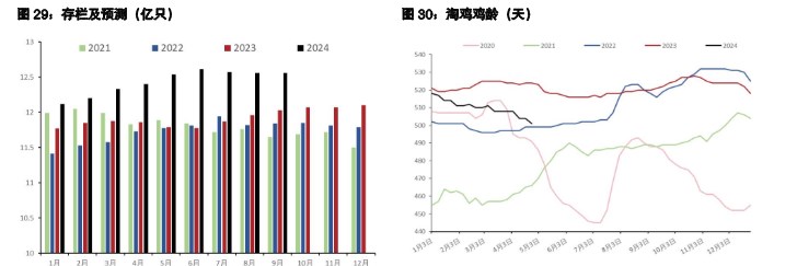 鸡蛋供大于求延续 生猪养殖端承压走货