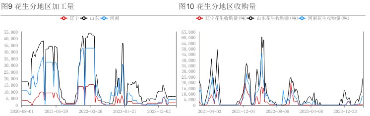 油厂收购意愿偏弱 花生利空情绪较为明显