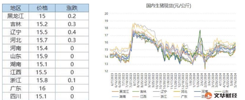 养殖户挺价惜售情绪不减 生猪出栏积极性不高