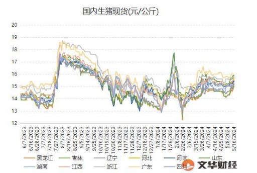 养殖户挺价惜售情绪不减 生猪出栏积极性不高