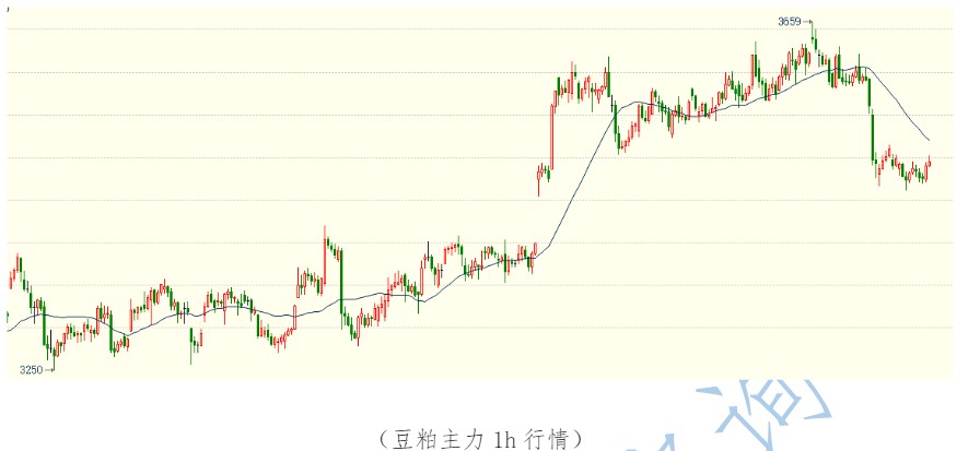 豆粕主力减仓下行 高位风险有所释放