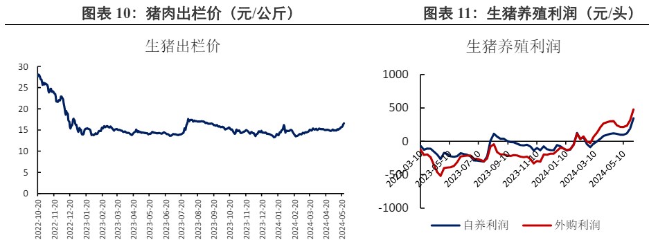 基本面未出现明显驱动因素 豆粕跟随外盘进一步回落