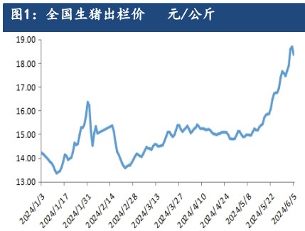 受产能持续去化利好支撑 生猪远月合约仍存较强预期