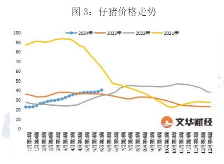 生猪供应减量逐月兑现 价格或持续震荡运行