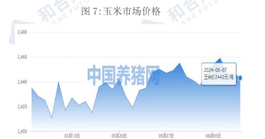 生猪供应减量逐月兑现 价格或持续震荡运行