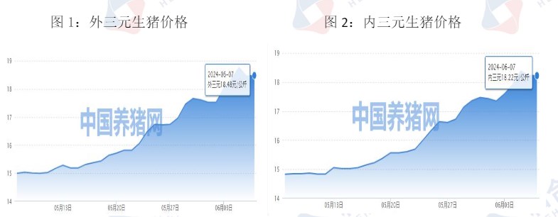 生猪供应减量逐月兑现 价格或持续震荡运行