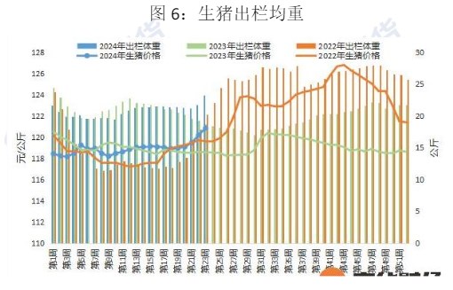 生猪供应减量逐月兑现 价格或持续震荡运行