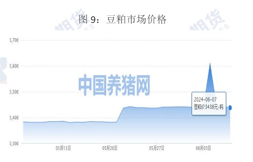 生猪供应减量逐月兑现 价格或持续震荡运行