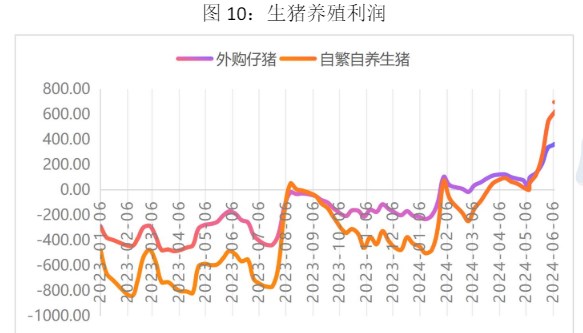 生猪供应减量逐月兑现 价格或持续震荡运行