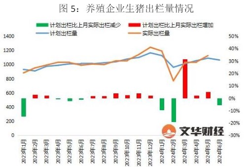 生猪供应减量逐月兑现 价格或持续震荡运行