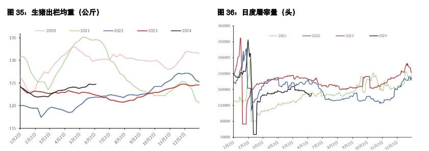 鸡蛋整体驱动转为向下 生猪惜售或支撑短期情绪