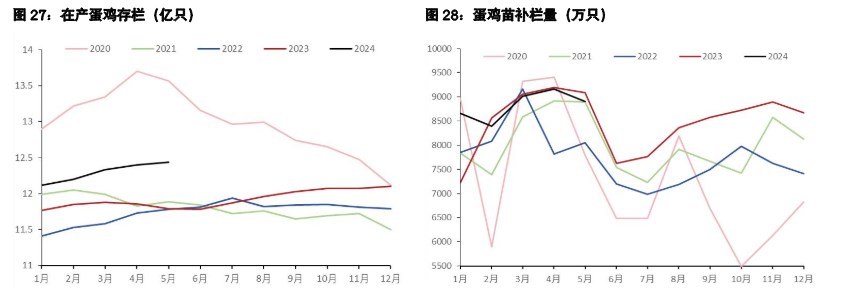 鸡蛋整体驱动转为向下 生猪惜售或支撑短期情绪