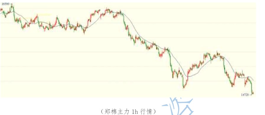 受USDA供需报告利空影响 棉花价格偏弱运行