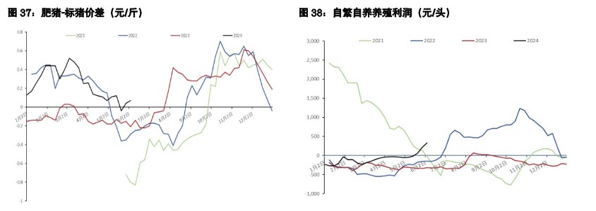 鸡蛋整体驱动转为向下 生猪惜售或支撑短期情绪