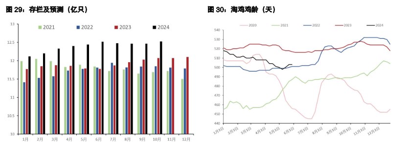 鸡蛋整体驱动转为向下 生猪惜售或支撑短期情绪