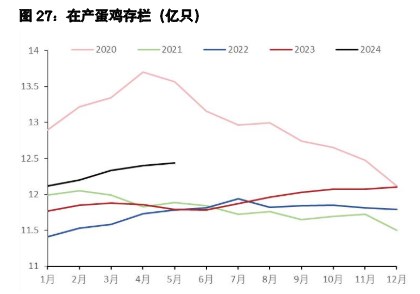 鸡蛋整体驱动转为向下 生猪惜售或支撑短期情绪