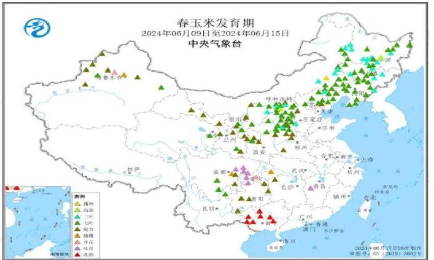 企业大规模采购新麦 玉米价格或将偏弱运行