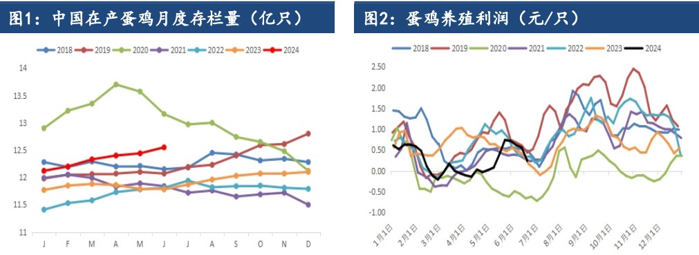 旺季来临市场有囤货心态 鸡蛋价格短期或震荡偏强